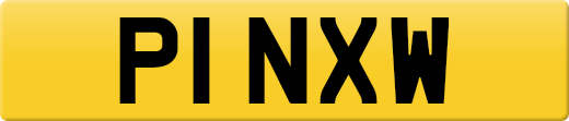 P1NXW