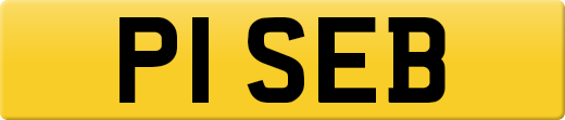P1SEB