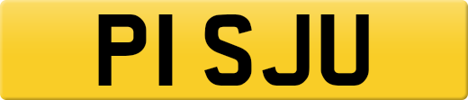 P1SJU
