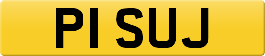 P1SUJ