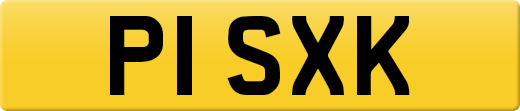 P1SXK