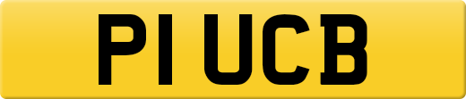 P1UCB