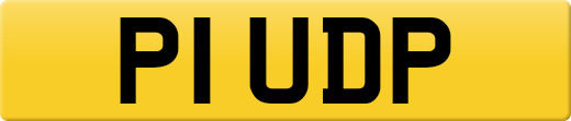 P1UDP