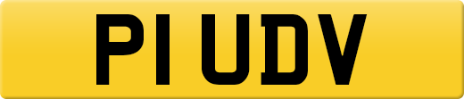 P1UDV
