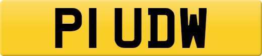 P1UDW