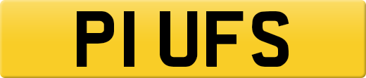 P1UFS