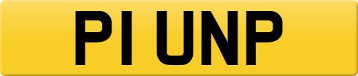 P1UNP