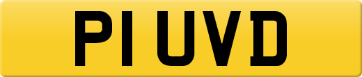 P1UVD