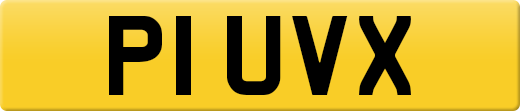 P1UVX