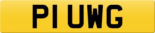 P1UWG