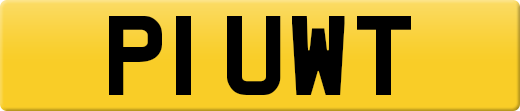 P1UWT