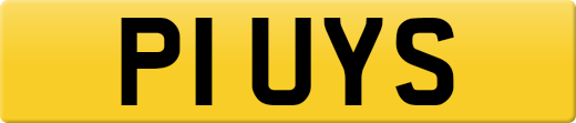 P1UYS