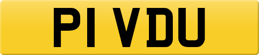 P1VDU
