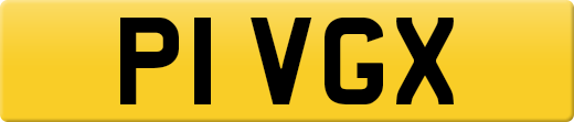 P1VGX