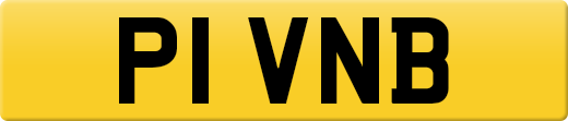 P1VNB