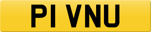 P1VNU