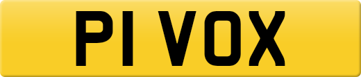 P1VOX