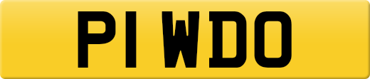 P1WDO