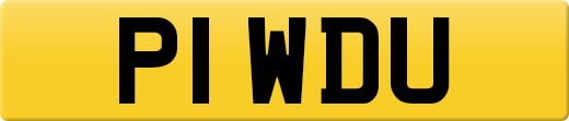 P1WDU