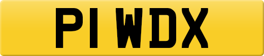 P1WDX