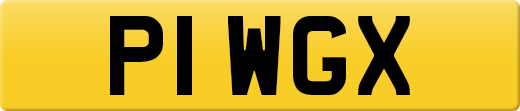 P1WGX