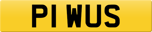 P1WUS