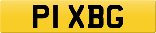 P1XBG
