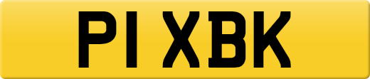 P1XBK