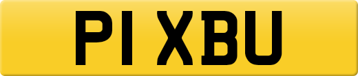 P1XBU