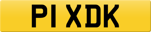 P1XDK