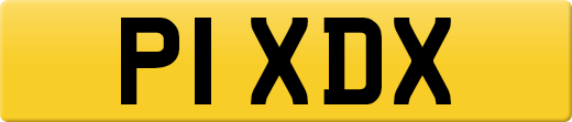 P1XDX
