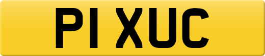 P1XUC