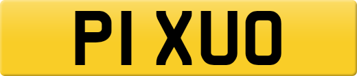 P1XUO