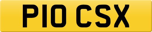P10CSX
