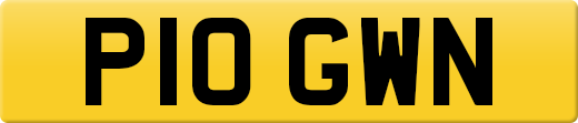 P10GWN