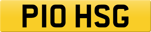 P10HSG
