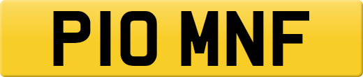 P10MNF