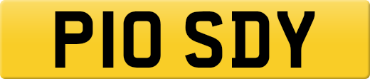 P10SDY