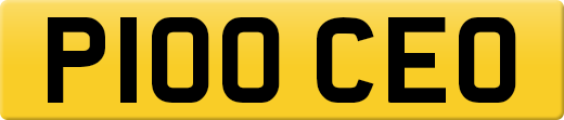 P100CEO