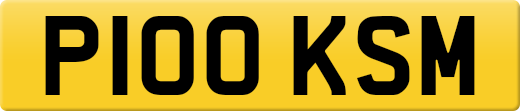 P100KSM