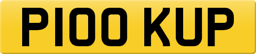 P100KUP