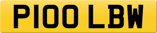 P100LBW