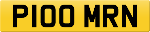 P100MRN