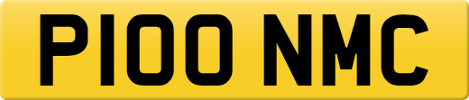 P100NMC
