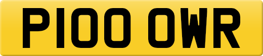 P100OWR