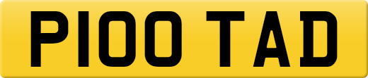 P100TAD