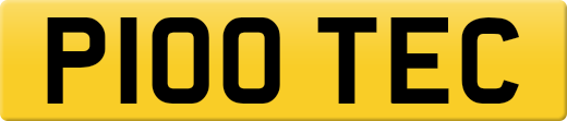 P100TEC