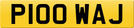P100WAJ