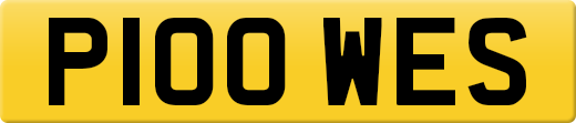 P100WES