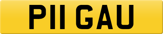 P11GAU